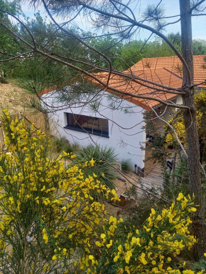 Cot'& Dune - Lodge D'Hote & Spa De Nage Saint-Augustin  Exteriér fotografie